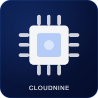 CloudNine IT Solutions logo